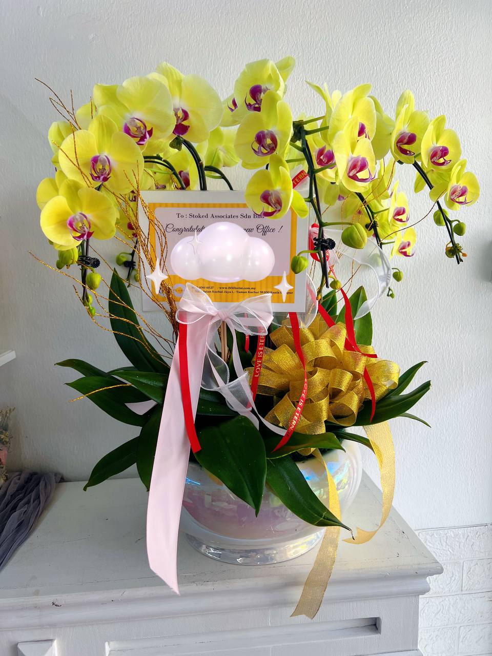 开张祝贺蝴蝶兰桌盆 -  Grand Opening Phalaenopsis Orchid Pot